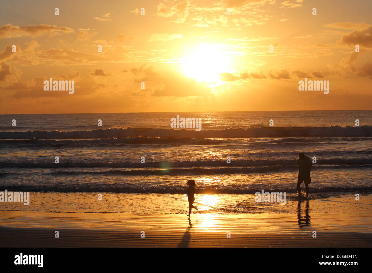 Feet don't touch the ground, running on water. Small girl running on beach at sunrise, dad