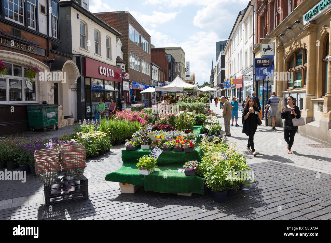 Plant stall at outdoor market, Station Road, Redhill, Surrey, England, United Kingdom Stock Photo