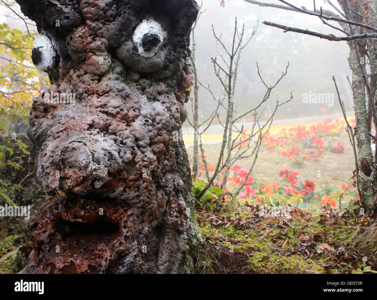 Fake tree with a face at the Land of Oz, Beech Mountain, NC Stock Photo