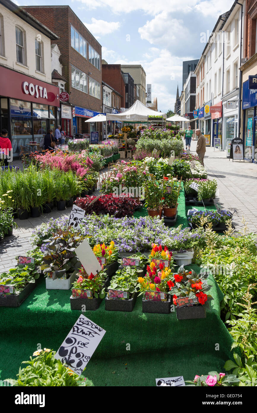 Plant stall at outdoor market, Station Road, Redhill, Surrey, England, United Kingdom Stock Photo