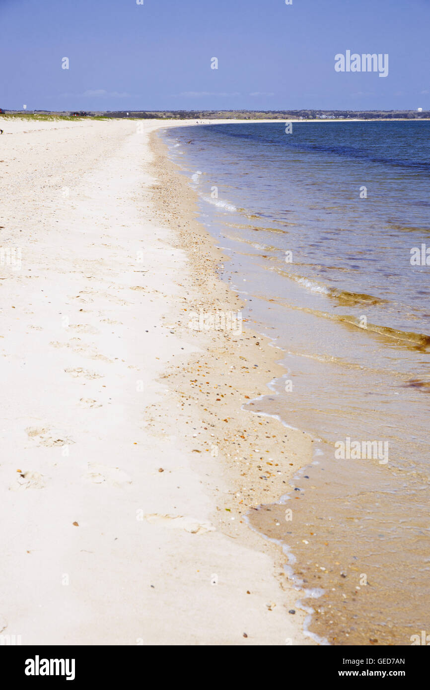 Beach on island of Chappaquiddick in Massachusetts Stock Photo Alamy