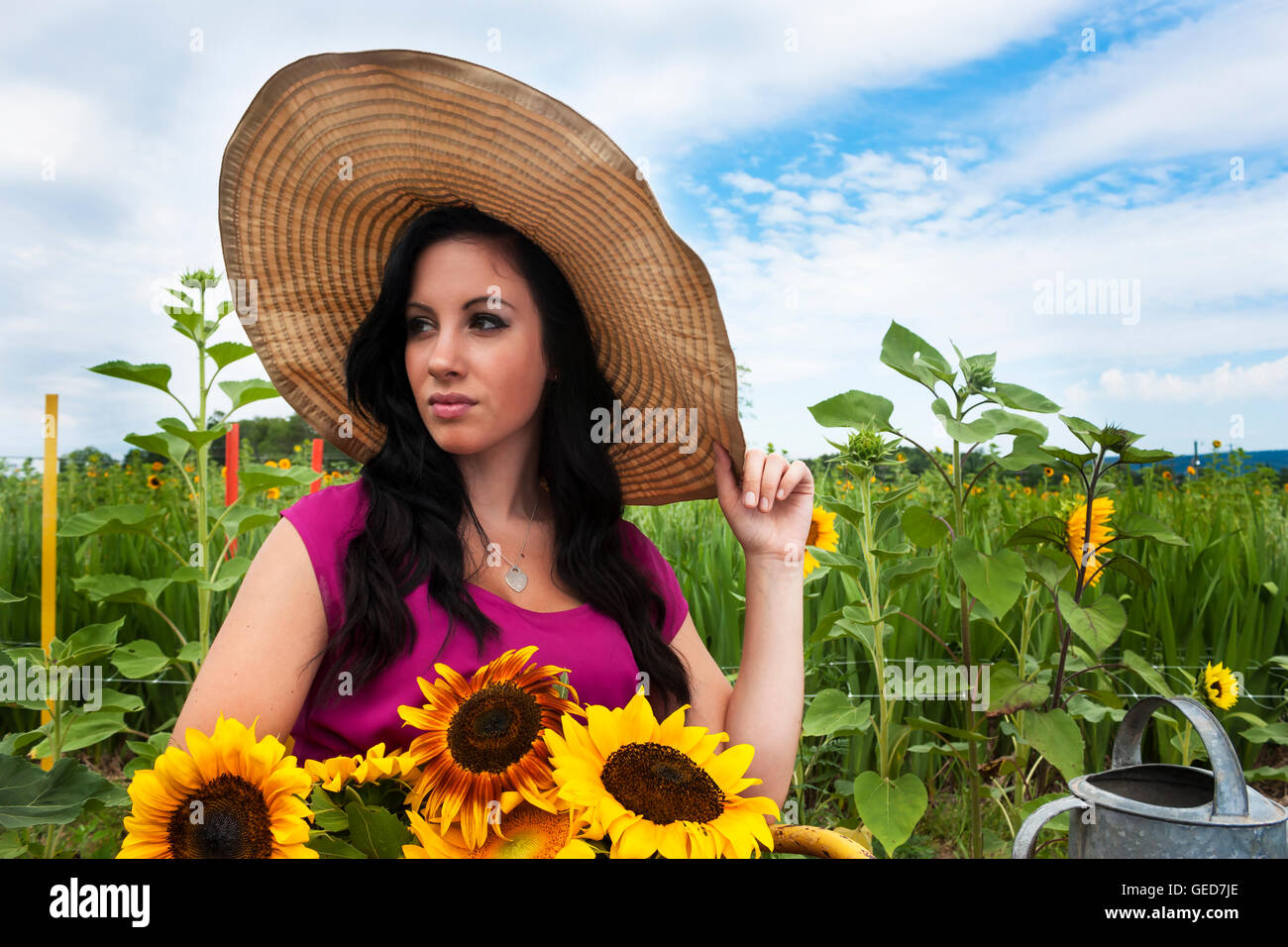 Pretty young brunette woman wearing large hat in a sunflower field with ...