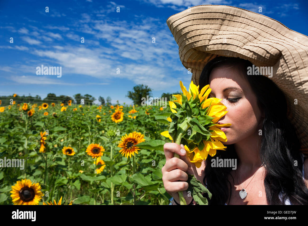 Pretty young brunette woman wearing large hat smelling sunflower in a ...
