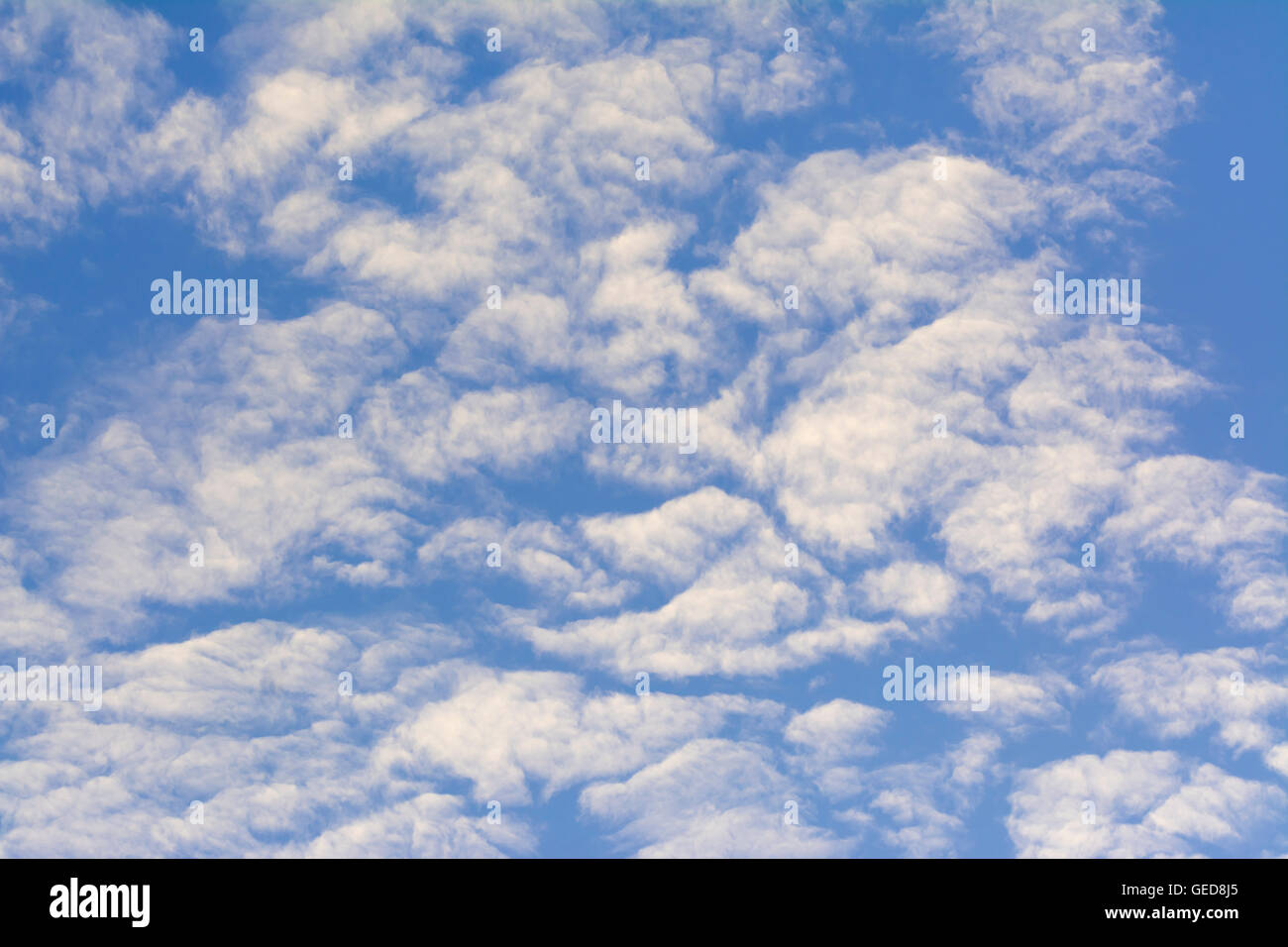 Altocumulus clouds against blue sky. Stock Photo