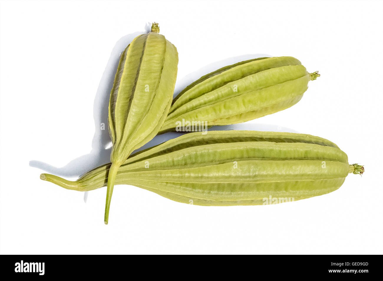 Ridge gourd plant hi-res stock photography and images - Alamy