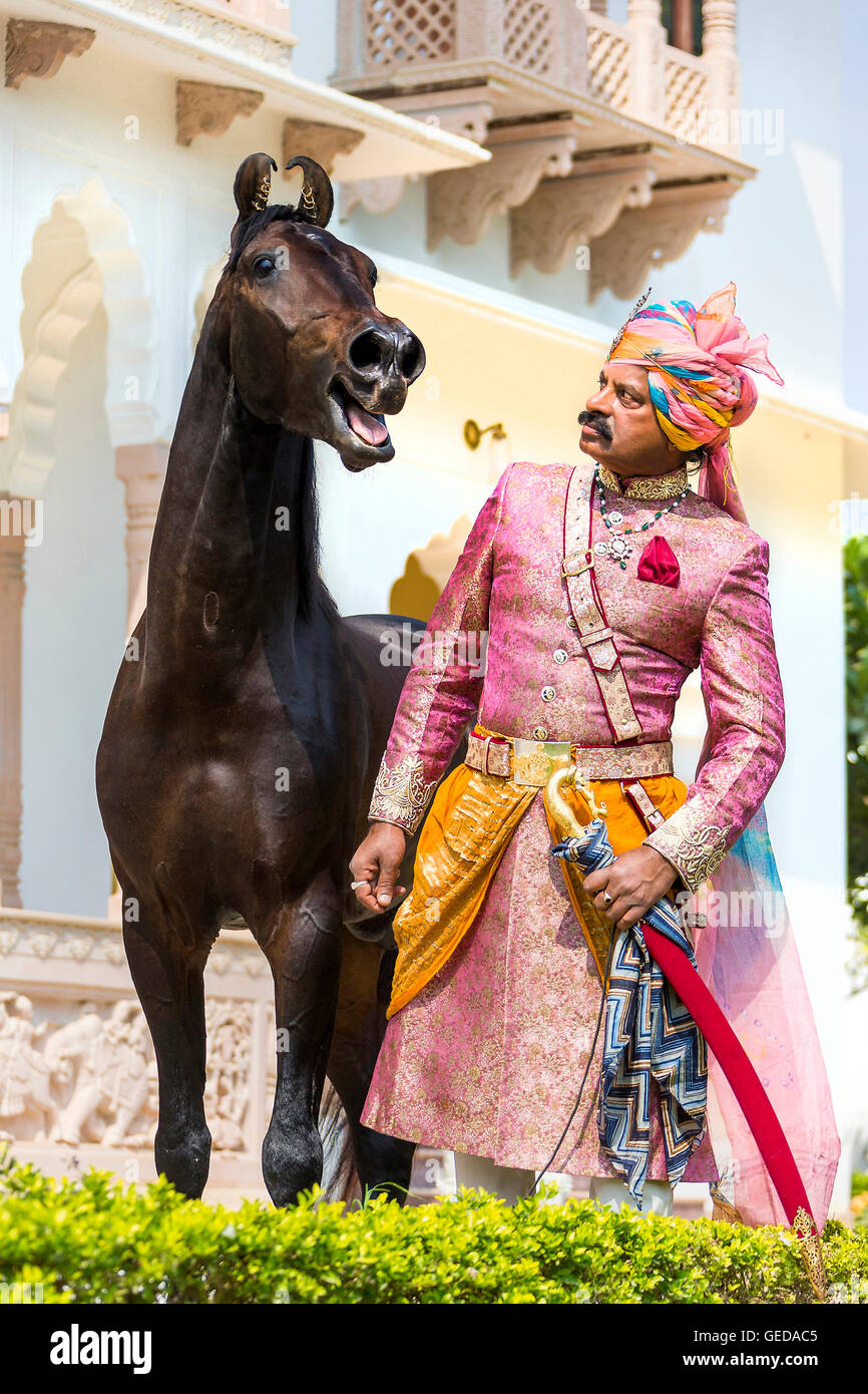 Marwari Horse. Man in traditional attire standing next to a bay stallion, neighing. Rajasthan, India. Stock Photo