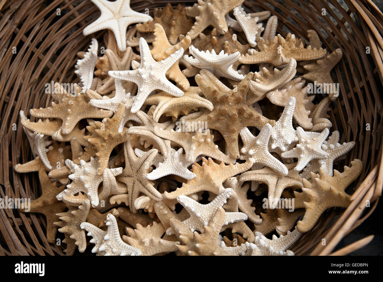 Basket full of starfish Stock Photo