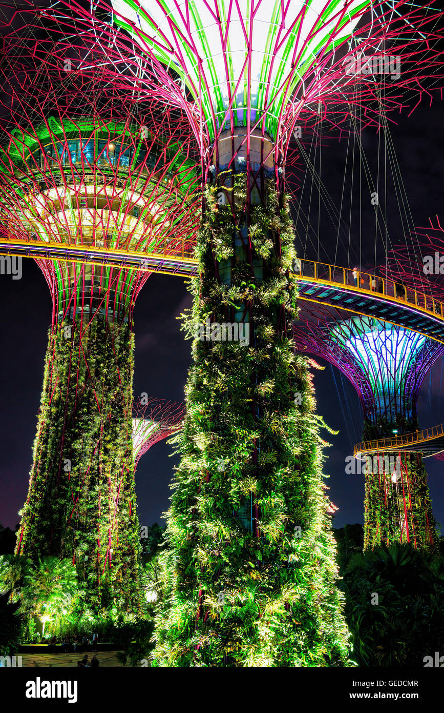 Supertree singapore hi-res stock photography and images - Alamy