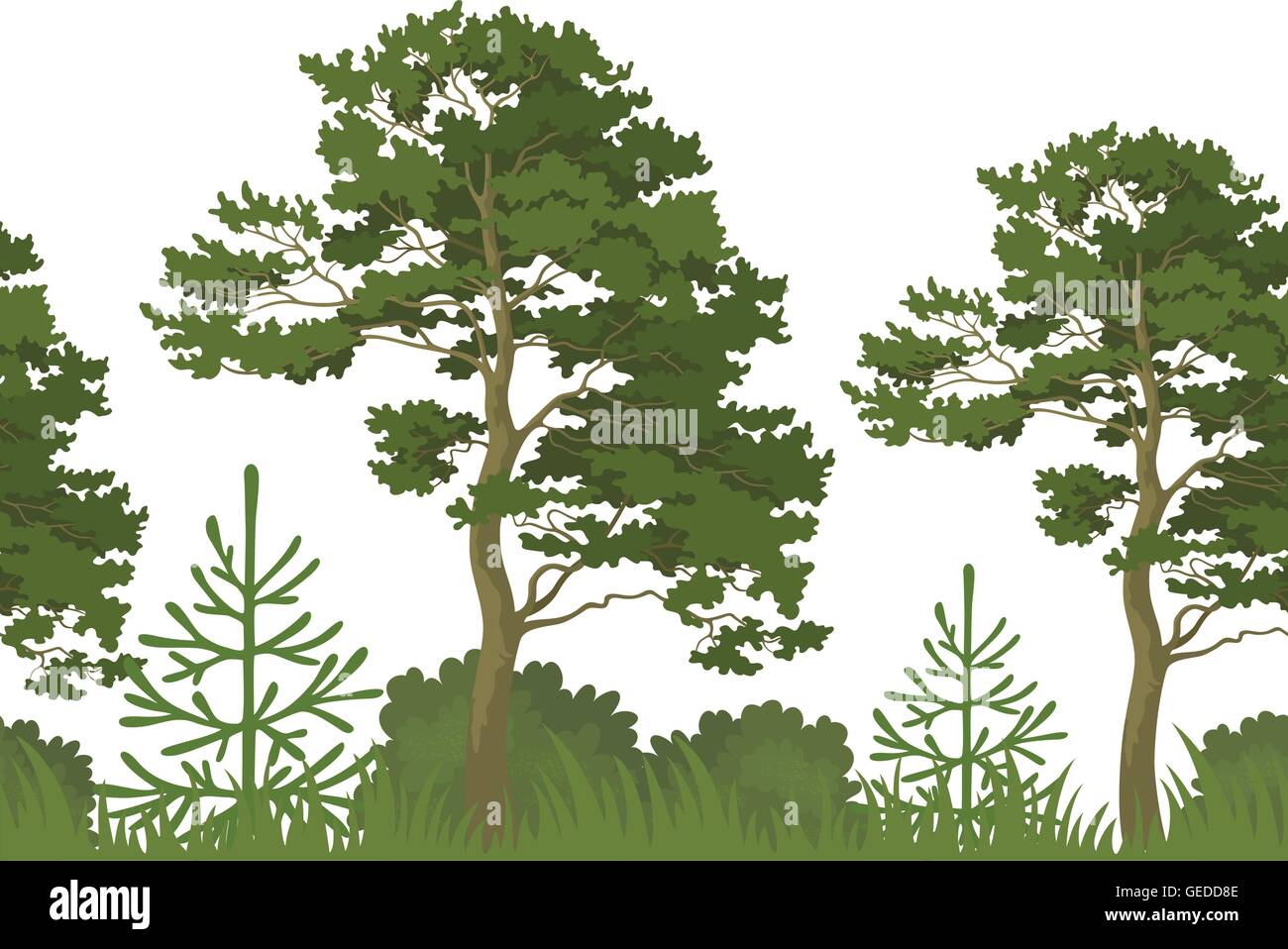 Seamless background, summer forest Stock Vector Image & Art - Alamy