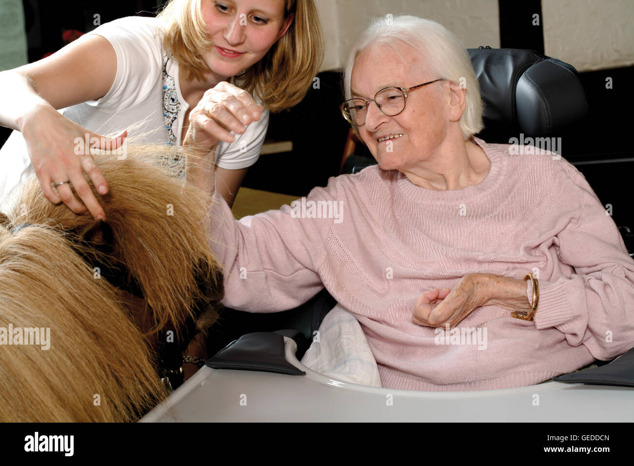 Senior woman petting a pony at an old-age home Stock Photo