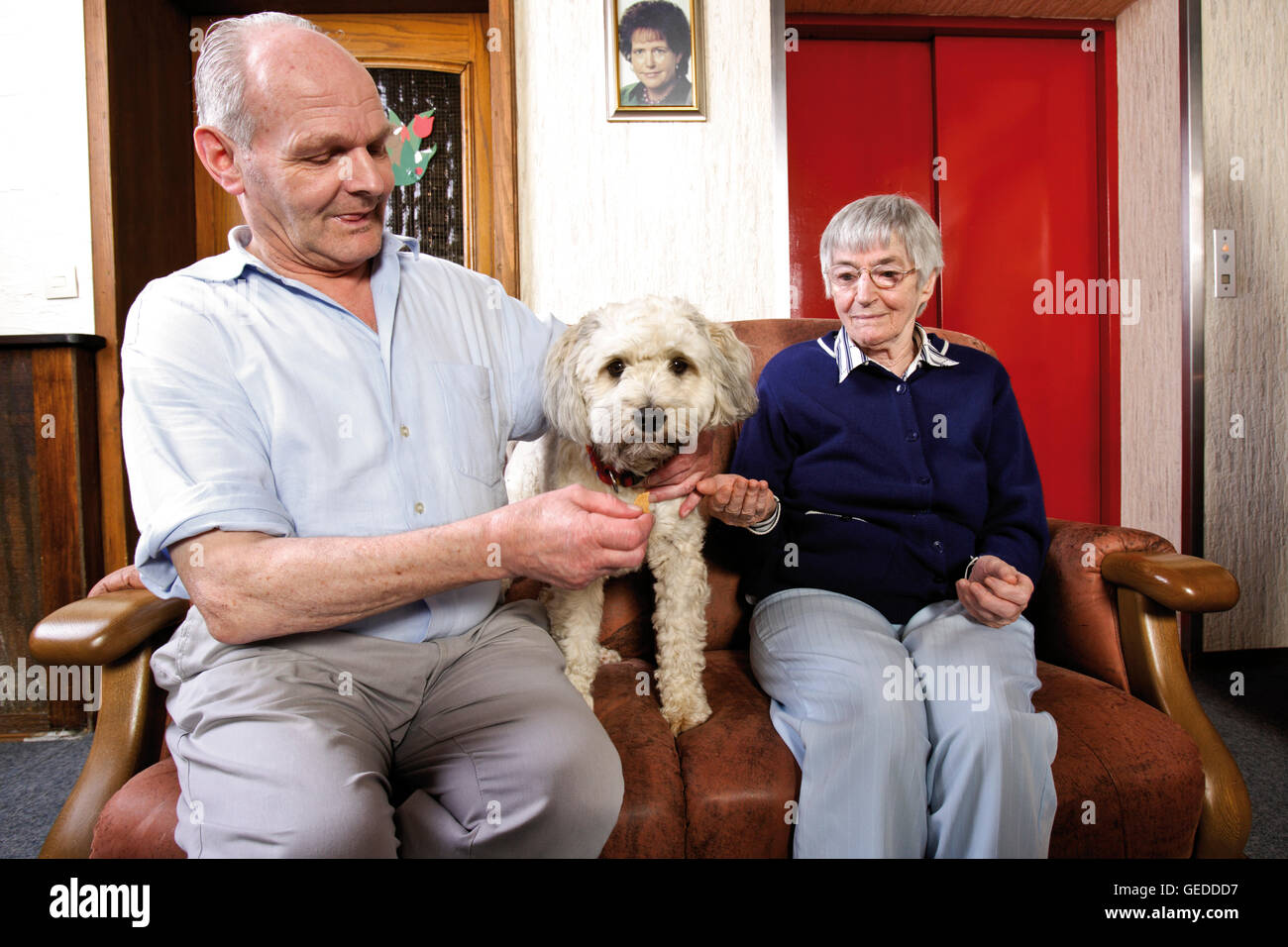Elderly residents petting a dog at a nursing home Stock Photo