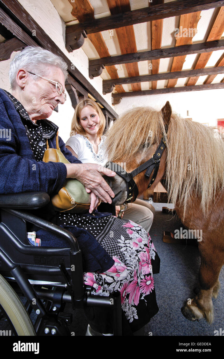 Elderly woman feeding a pony at a nursing home Stock Photo