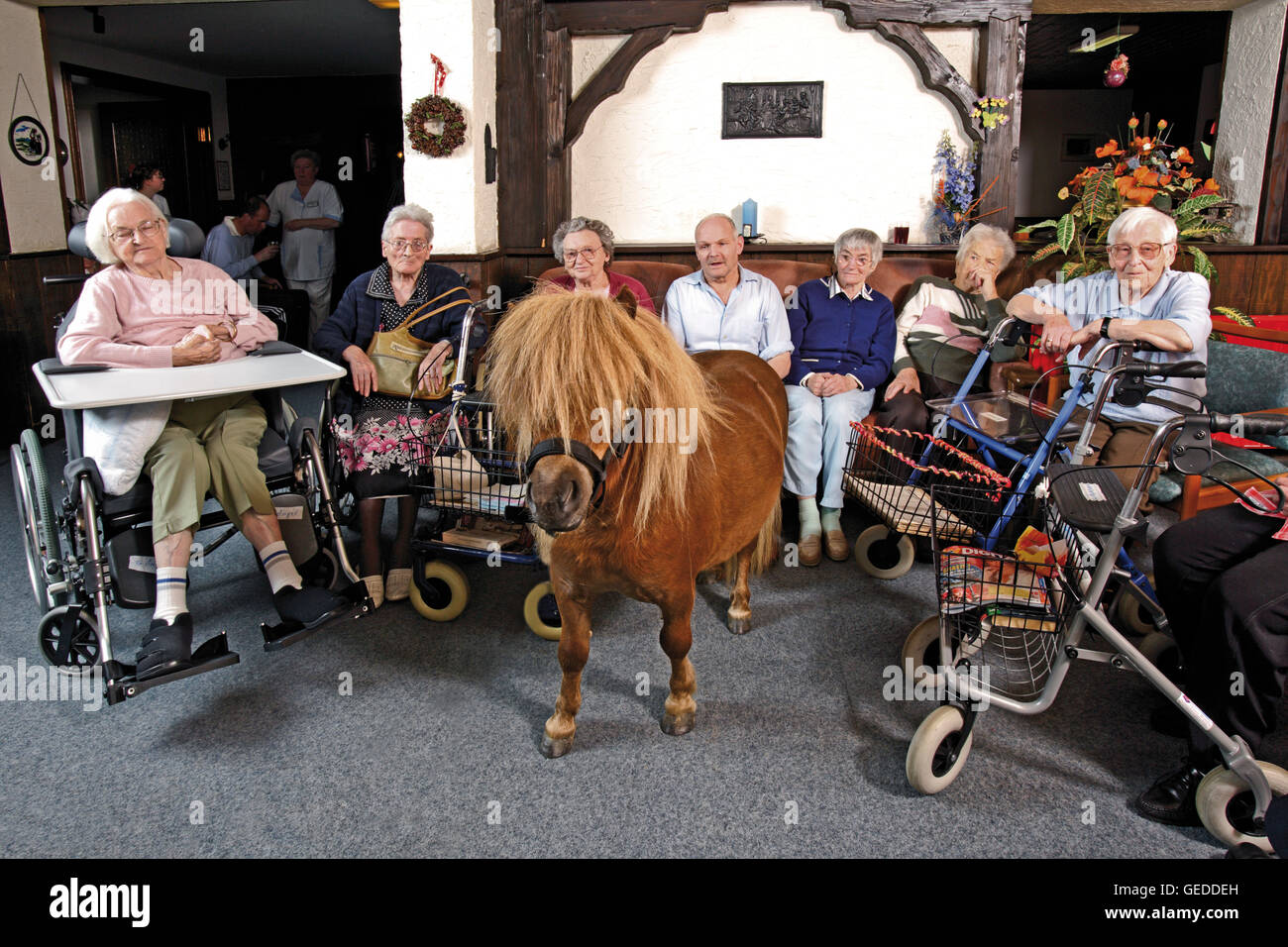 Residents visited by a pony at a nursing home Stock Photo