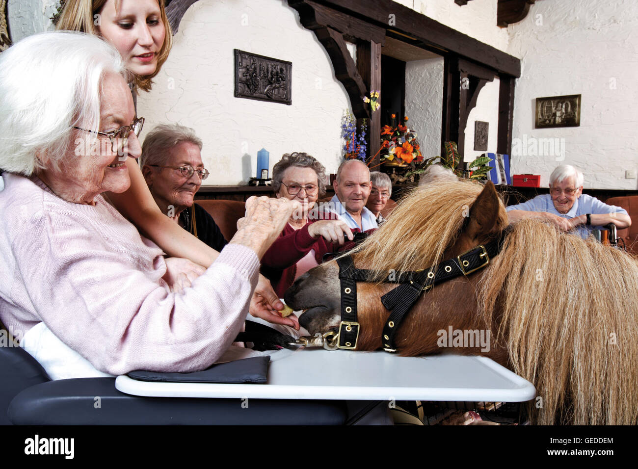 Elderly woman visited by a pony at a nursing home Stock Photo