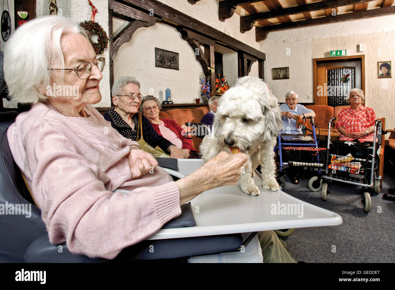 Elderly woman visited by a dog at a nursing home Stock Photo