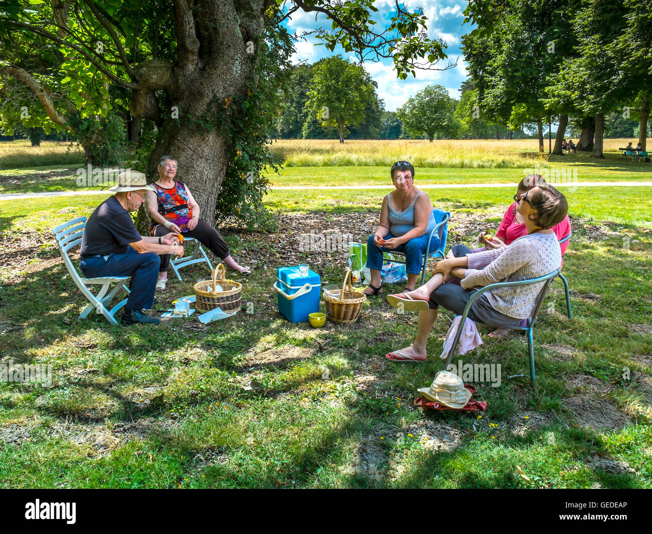 Family picnic under the shade of trees France Stock Photo Alamy