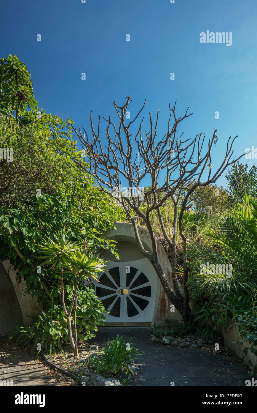 Front door wide shot with tree. Eco Dome, Peka Peka, New Zealand