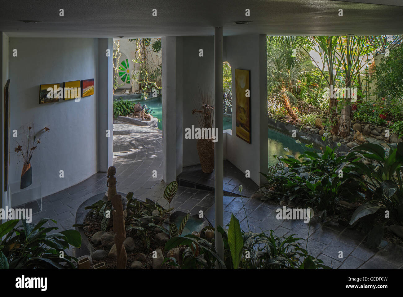 Inside dome house, plant, planting, trees. Eco Dome, Peka Peka, New