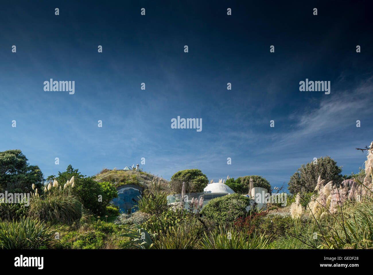 View of dome from garden. Eco Dome, Peka Peka, New Zealand. Architect
