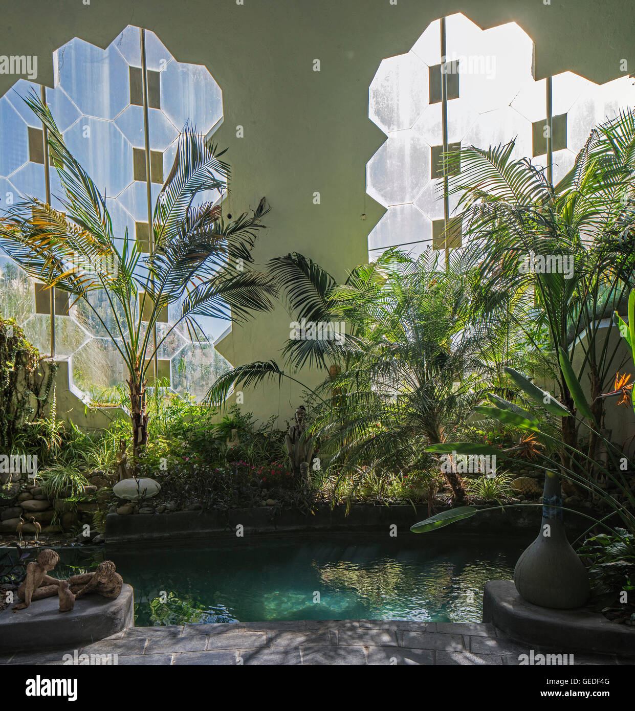 Pool palms window. Eco Dome, Peka Peka, New Zealand. Architect: Fritz Eisenhofer, 1985. Stock Photo