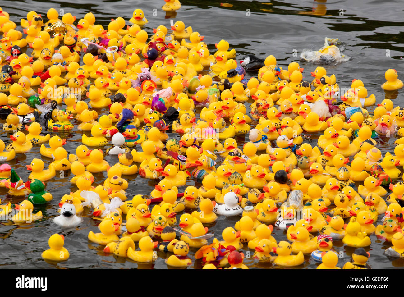 Rubber duck race germany hi-res stock photography and images - Alamy