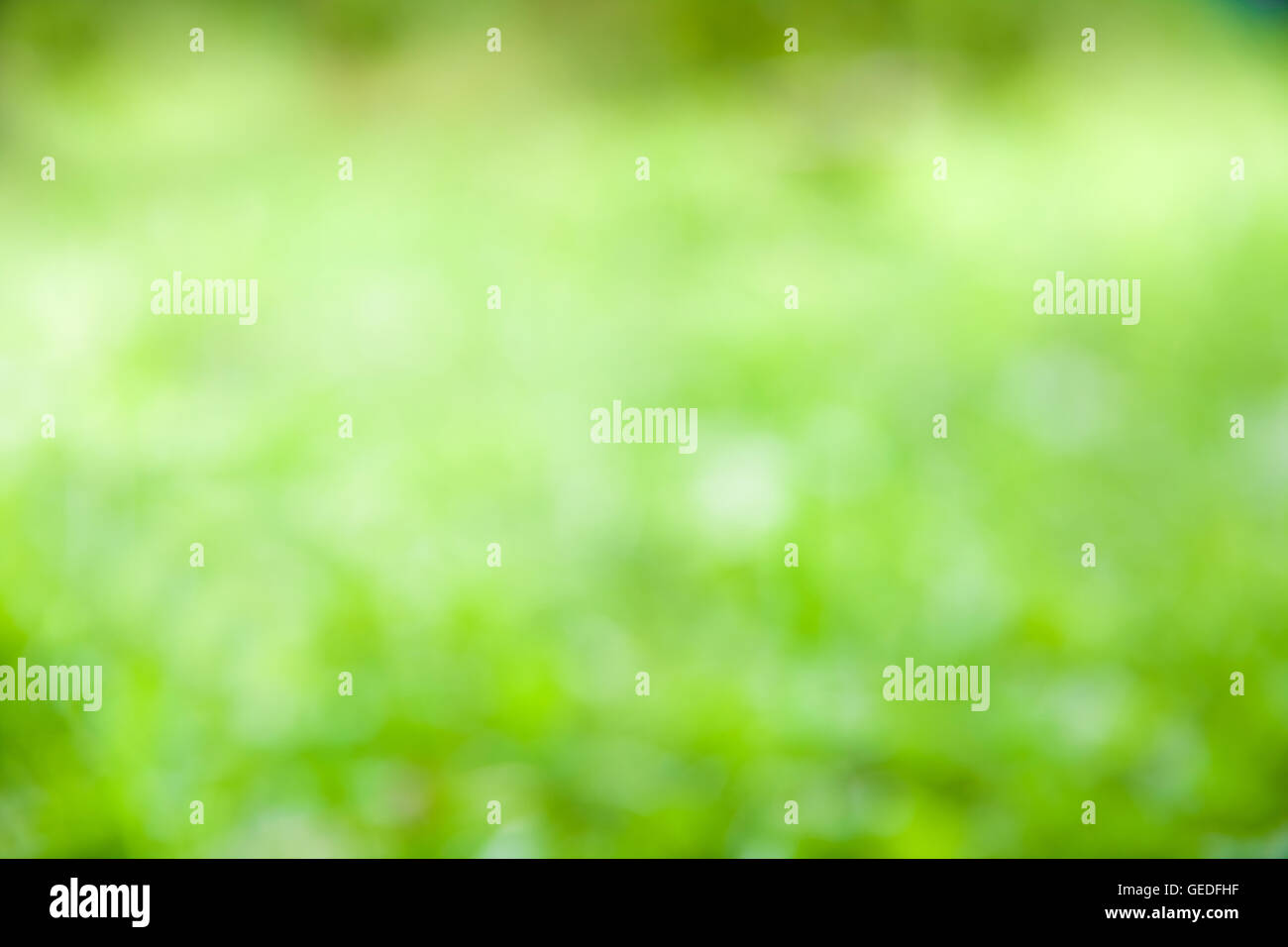 Blurred summer green hi-res stock photography and images - Alamy