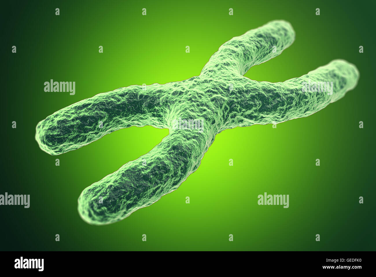 X-Chromosome on green background. with depth of field effect, scientific concept. 3d illustration Stock Photo