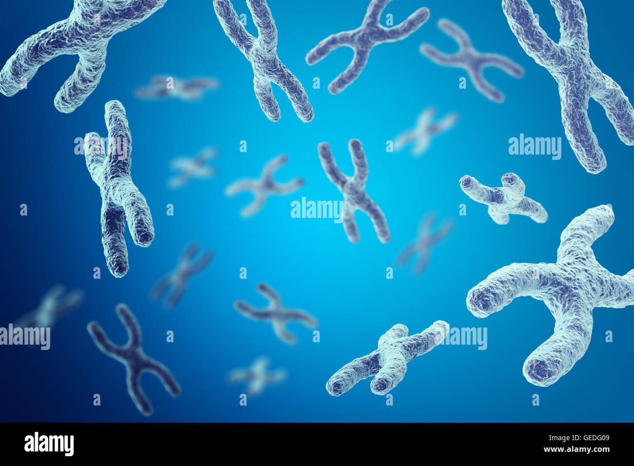 Chromosomes on blue background, scientific concept 3d illustration Stock Photo
