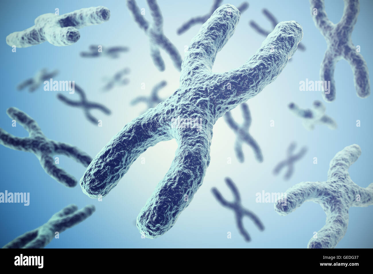 Chromosomes on blue background, scientific concept 3d illustration Stock Photo