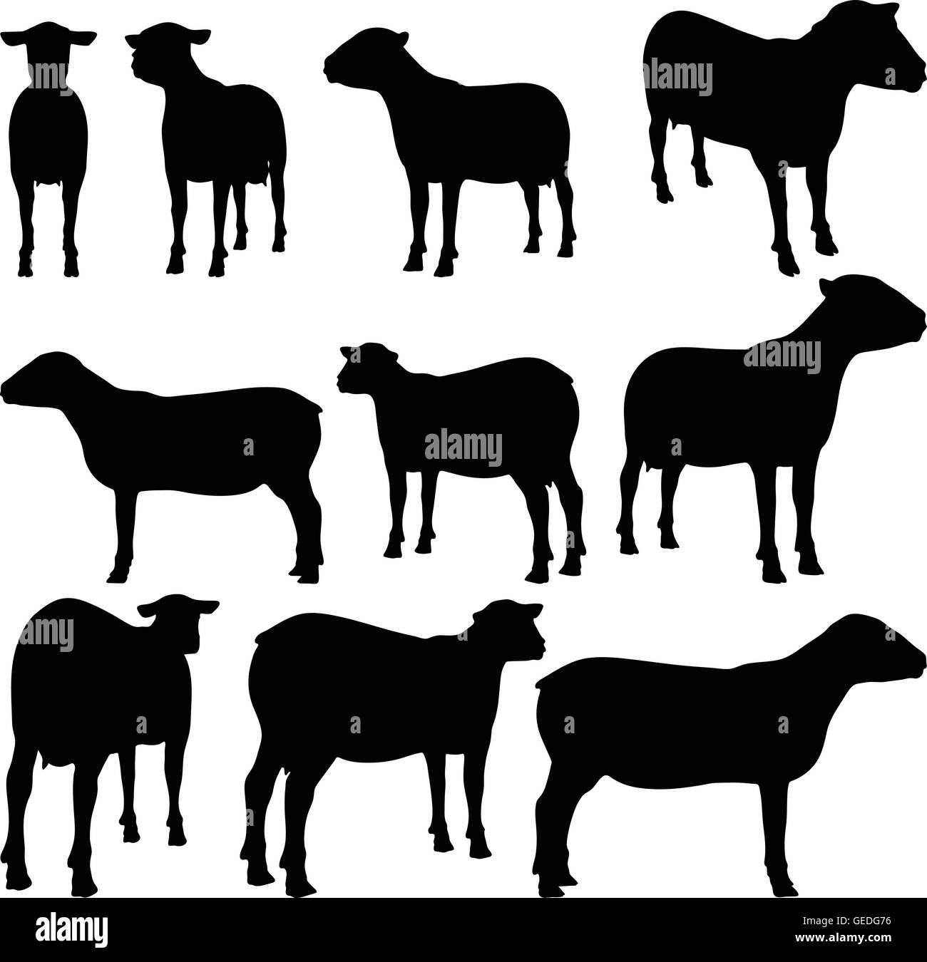 EPS 10 vector illustration of sheep collection silhouette in black ...