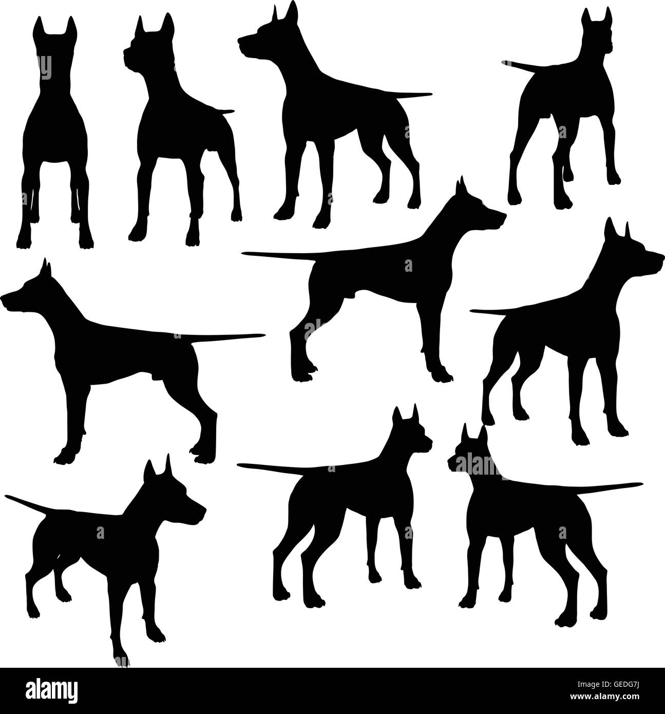 EPS 10 vector illustration of dog collection silhouette in black Stock ...