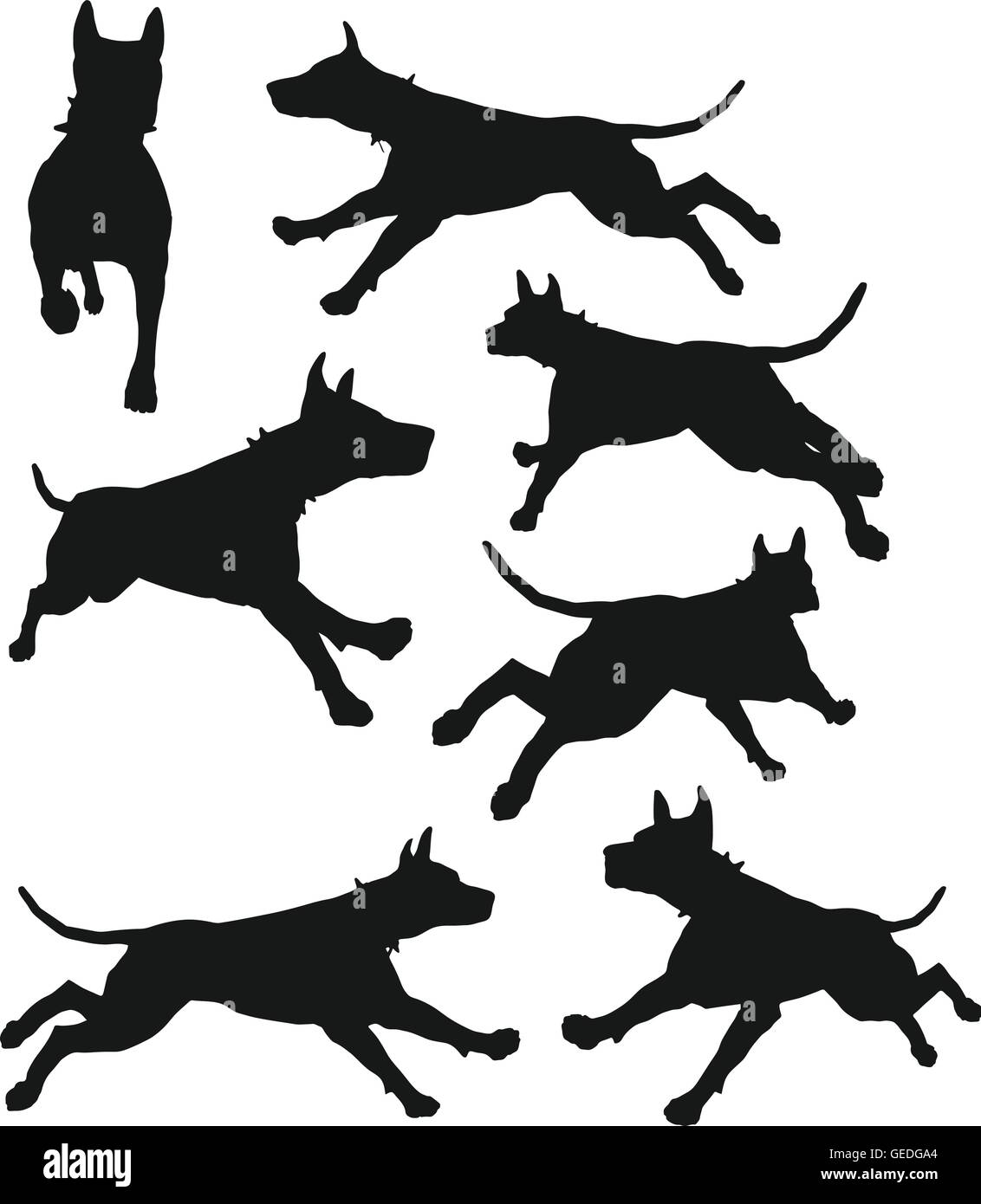 EPS 10 vector illustration of dog silhouette in black Stock Vector ...