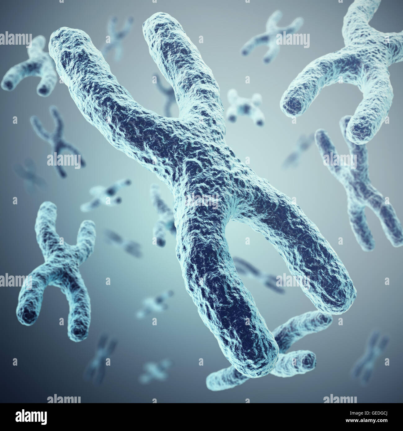 X-chromosomes as a concept for  human biology   medical symbol  gene therapy or microbiology genetics research. 3d illustration Stock Photo