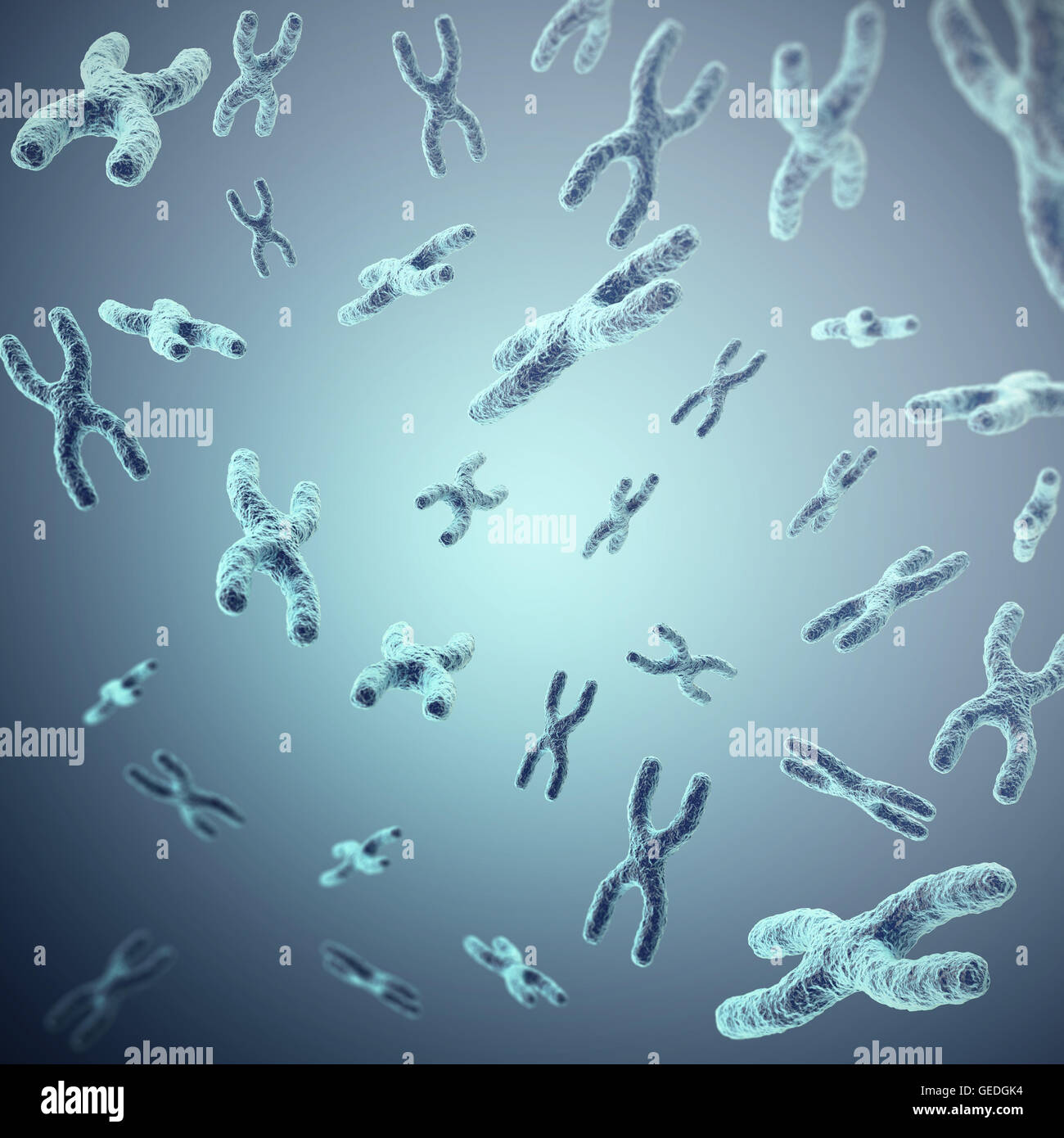 Chromosome karyotype biology hi-res stock photography and images - Alamy