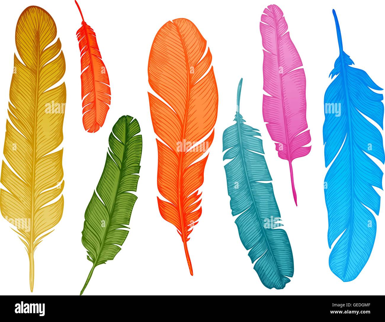 Hand drawn feathers set on white background. Vector illustration Stock ...