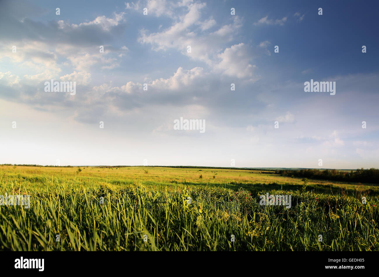 Green field and cloudy sky hi-res stock photography and images - Alamy