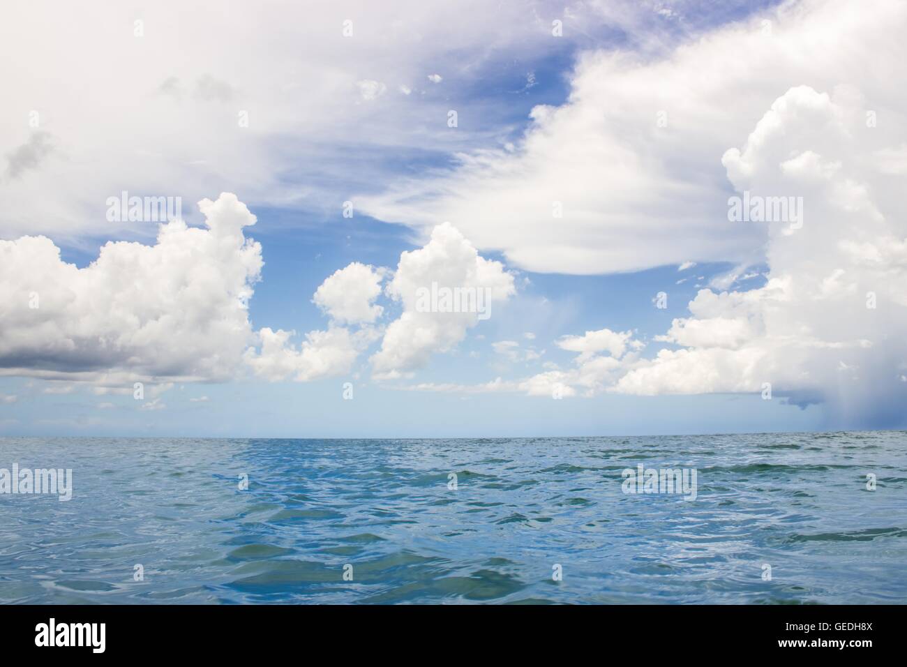 Large Cumulus Clouds Over The Ocean Stock Photo Alamy Large Cumulus Clouds Over The Ocean Stock Photo Alamy