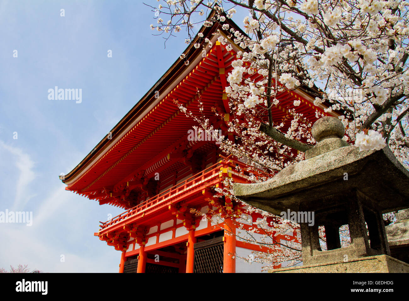 Cherry blossoms in Japan Temple in Kyoto Stock Photo Alamy