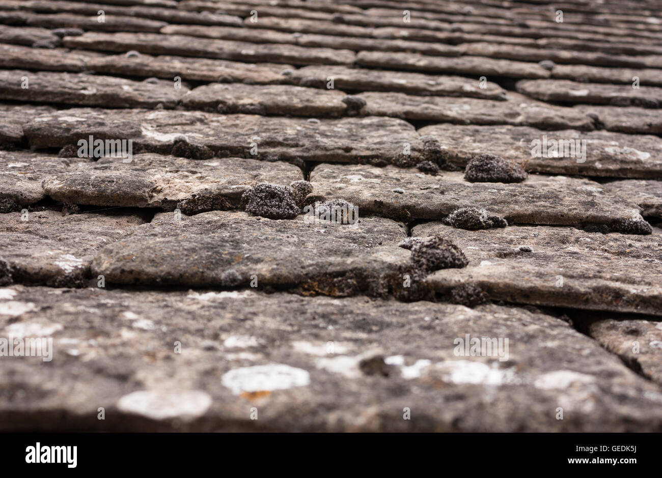 Roof in the Cotswolds with lichen background texture Stock Photo Alamy