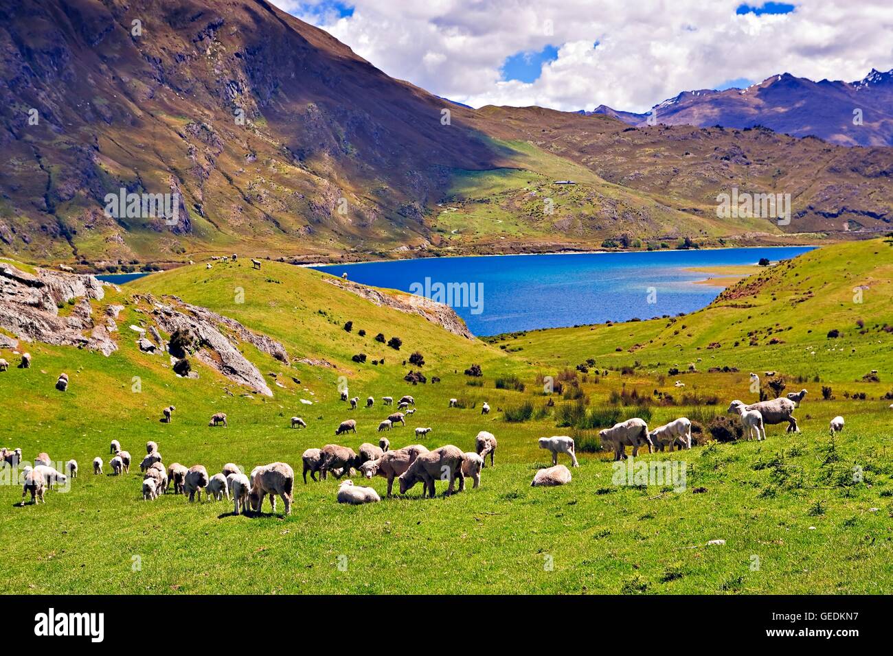 винодельня новая зеландия. новая зеландия население и хозяйство. национальный парк крайстчерч. новая зеландия население и хозяйство. новая зеландия население и хозяйство.