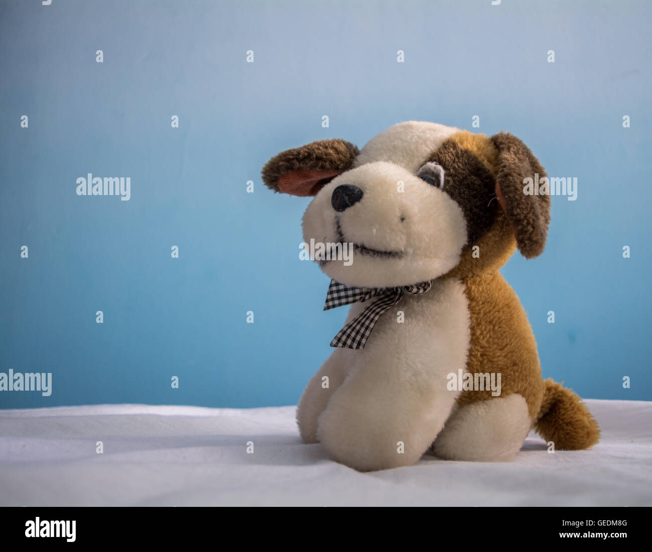 Stuffed white dog hires stock photography and images Alamy