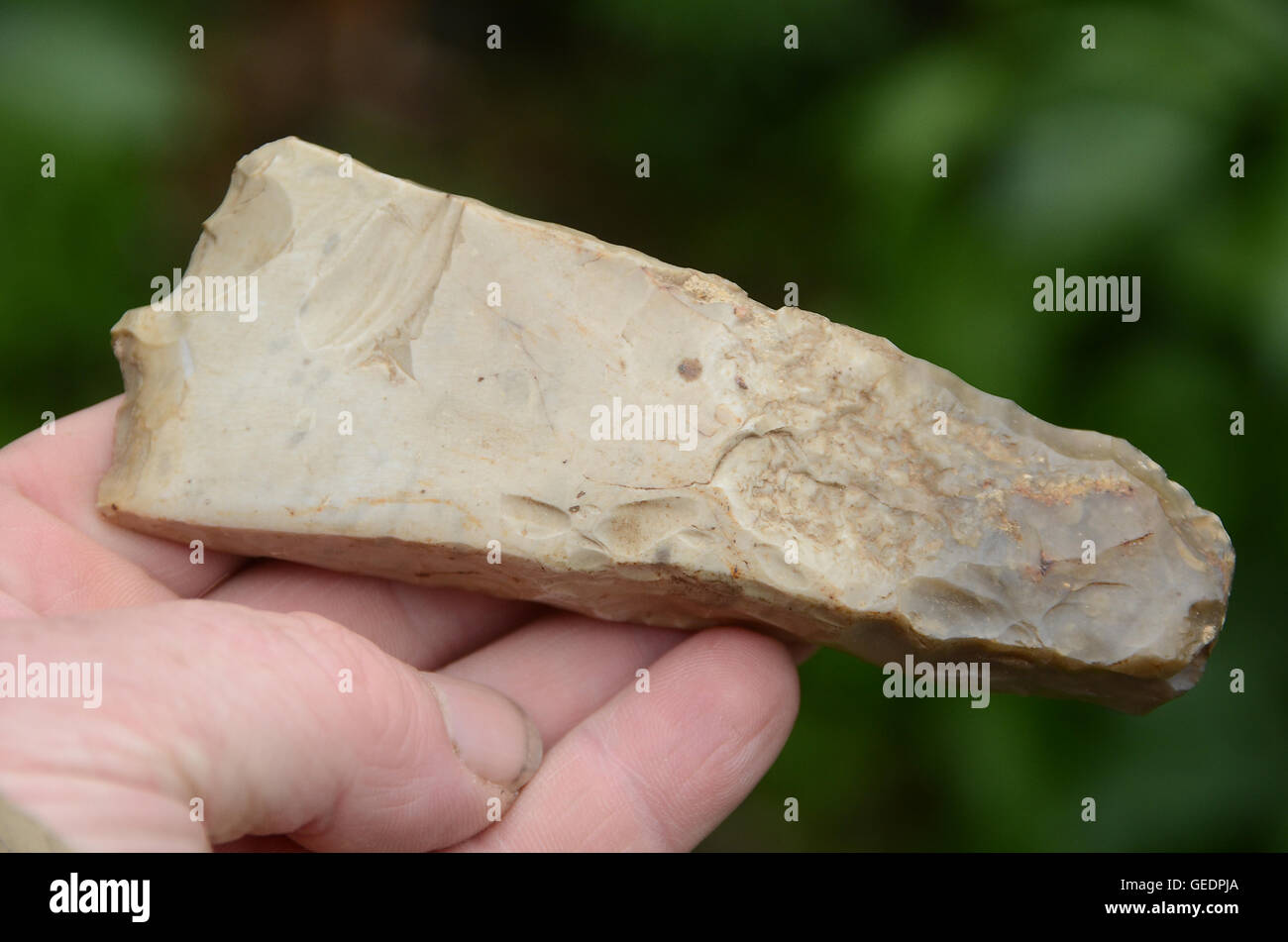 Stone age axe 'blade' held in a human hand. Stock Photo