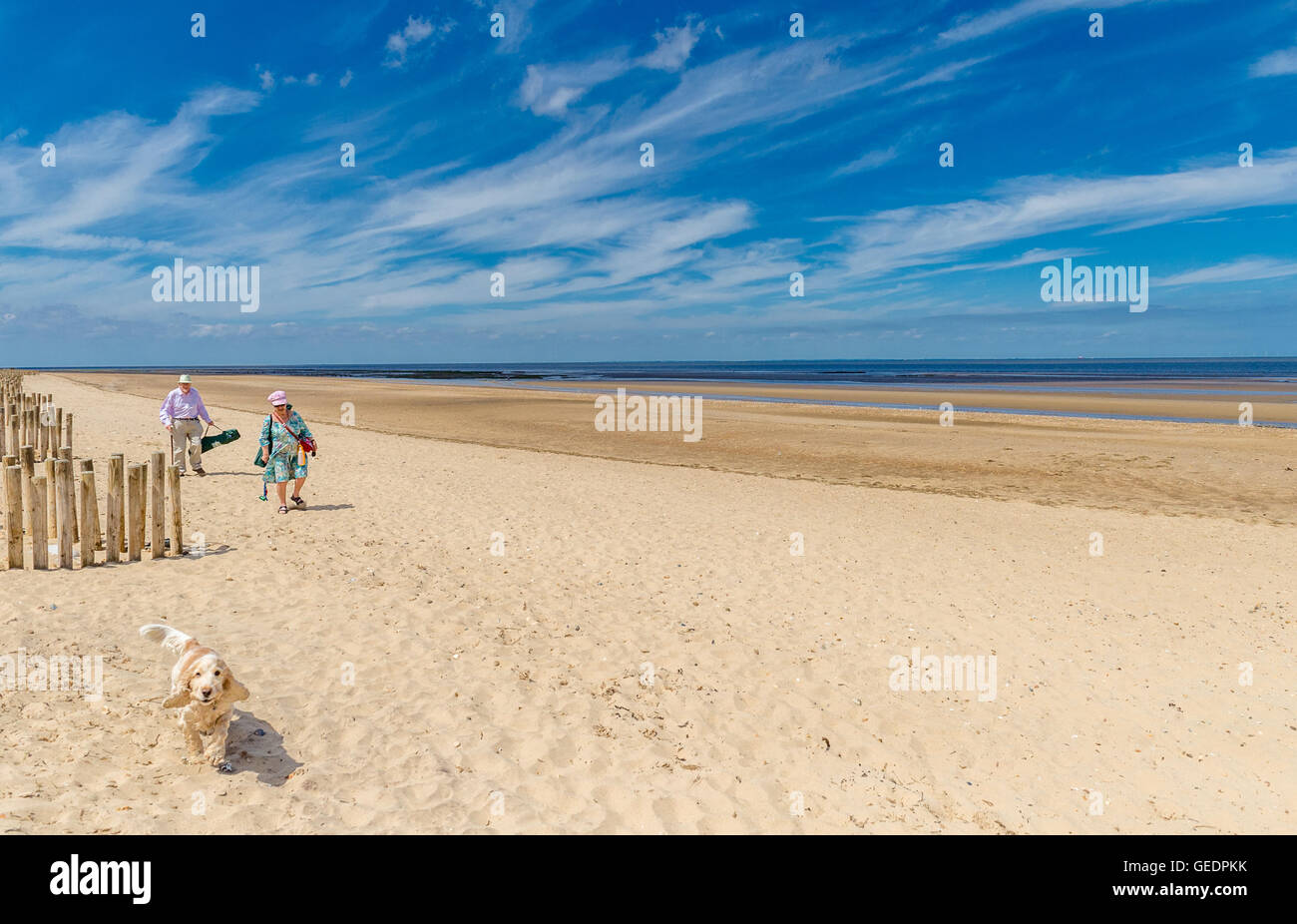 Elderly couple walking on the sands with their dog at Holme Next the Sea, Norfolk, England. Stock Photo
