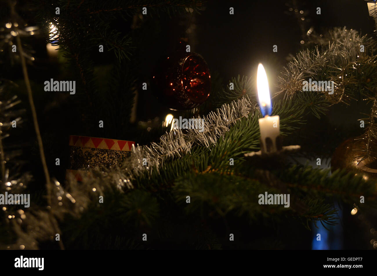 Danish christmas tree hires stock photography and images Alamy
