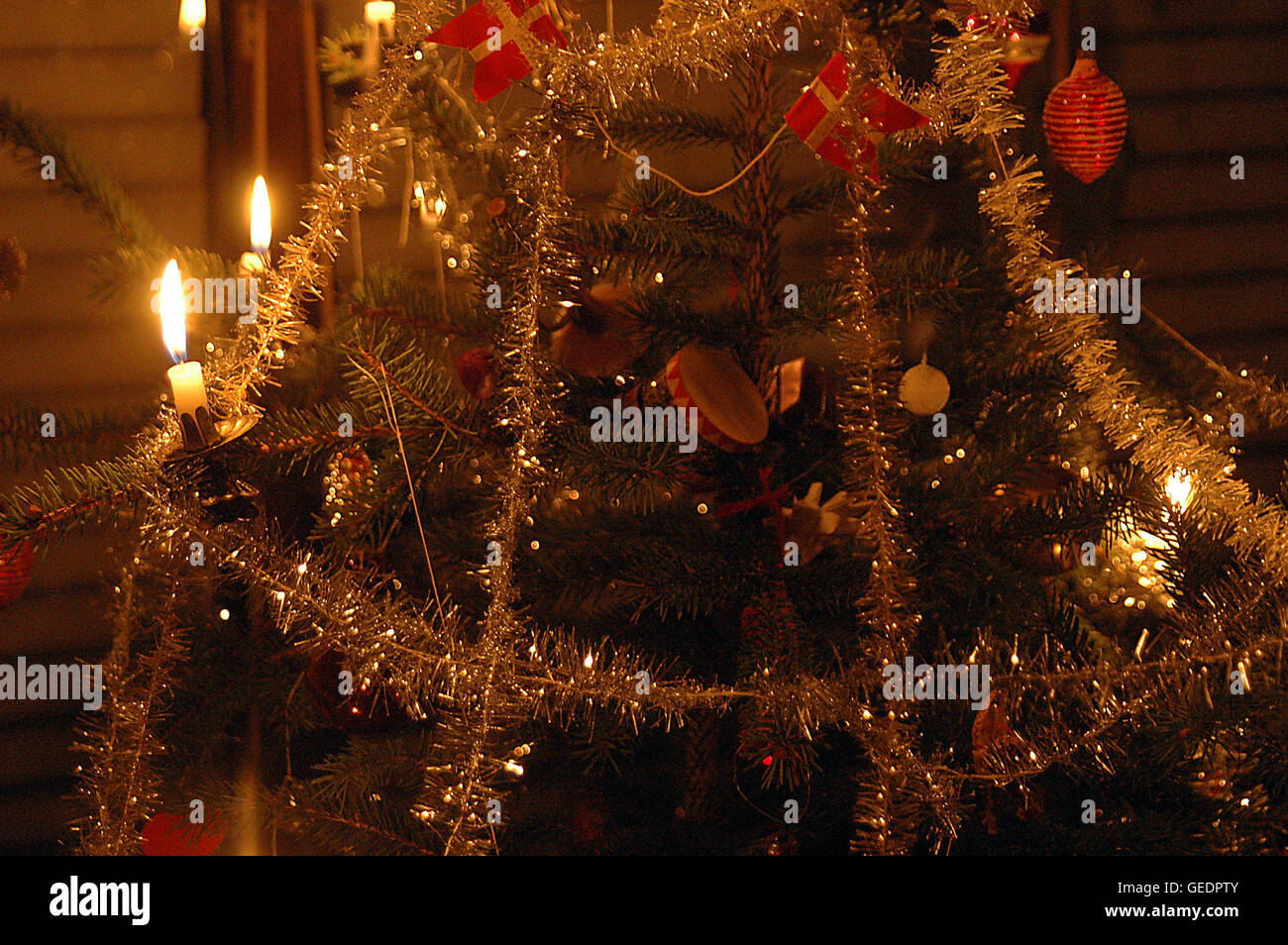 Danish christmas tree hires stock photography and images Alamy