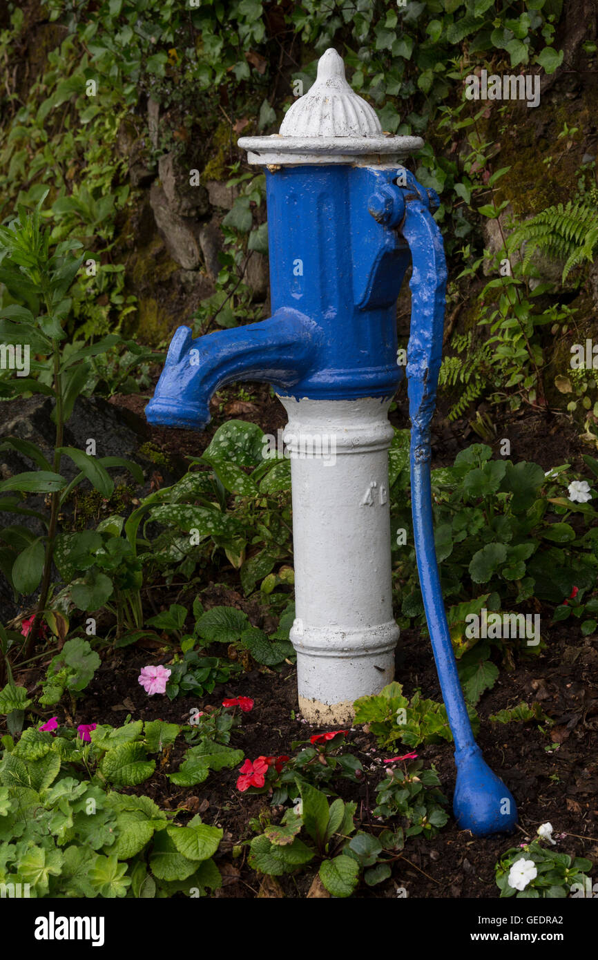 An antique water pump being used as a garden ornament Stock Photo Alamy