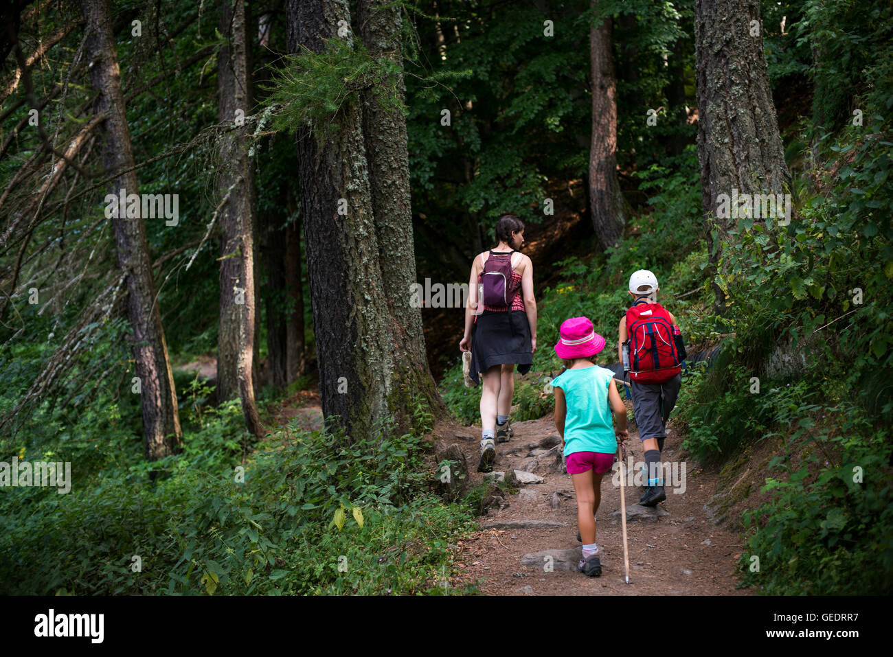 Woman and Two Children Hiking on Wooded Trail, Rear View Stock Photo ...