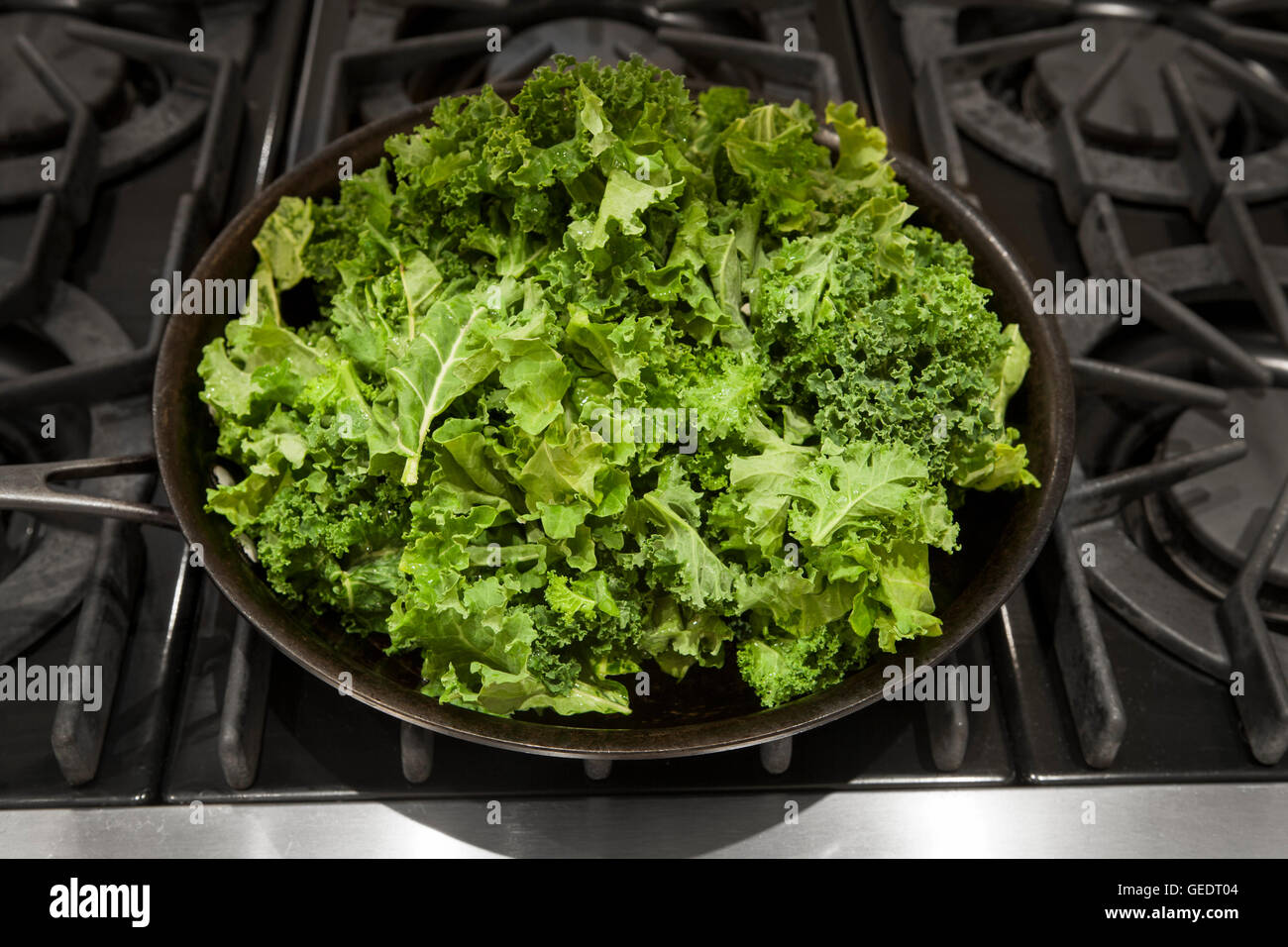 Fresh Kale in Pan on Stove Stock Photo