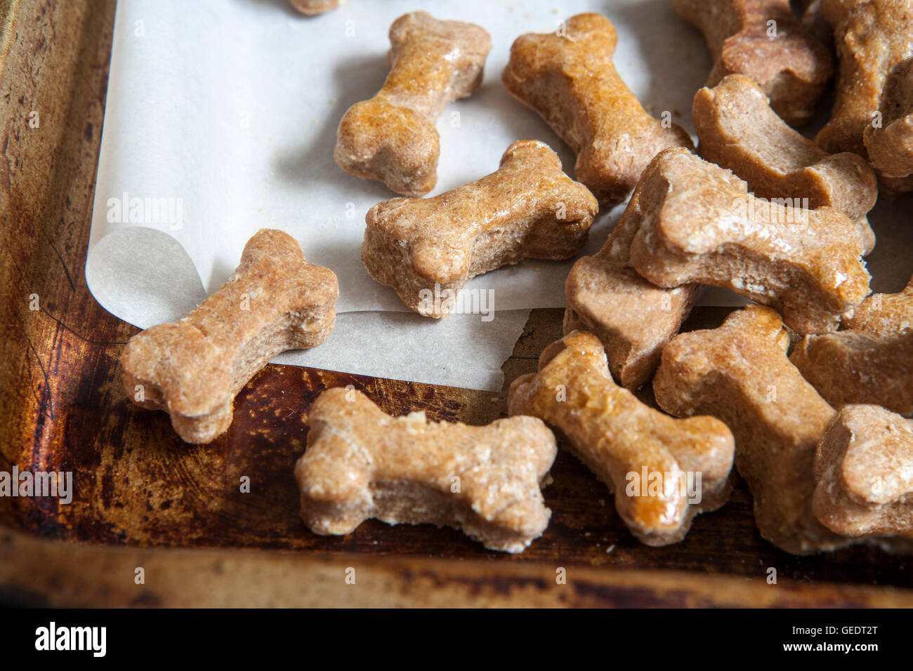Homemade Dog Treats Stock Photo
