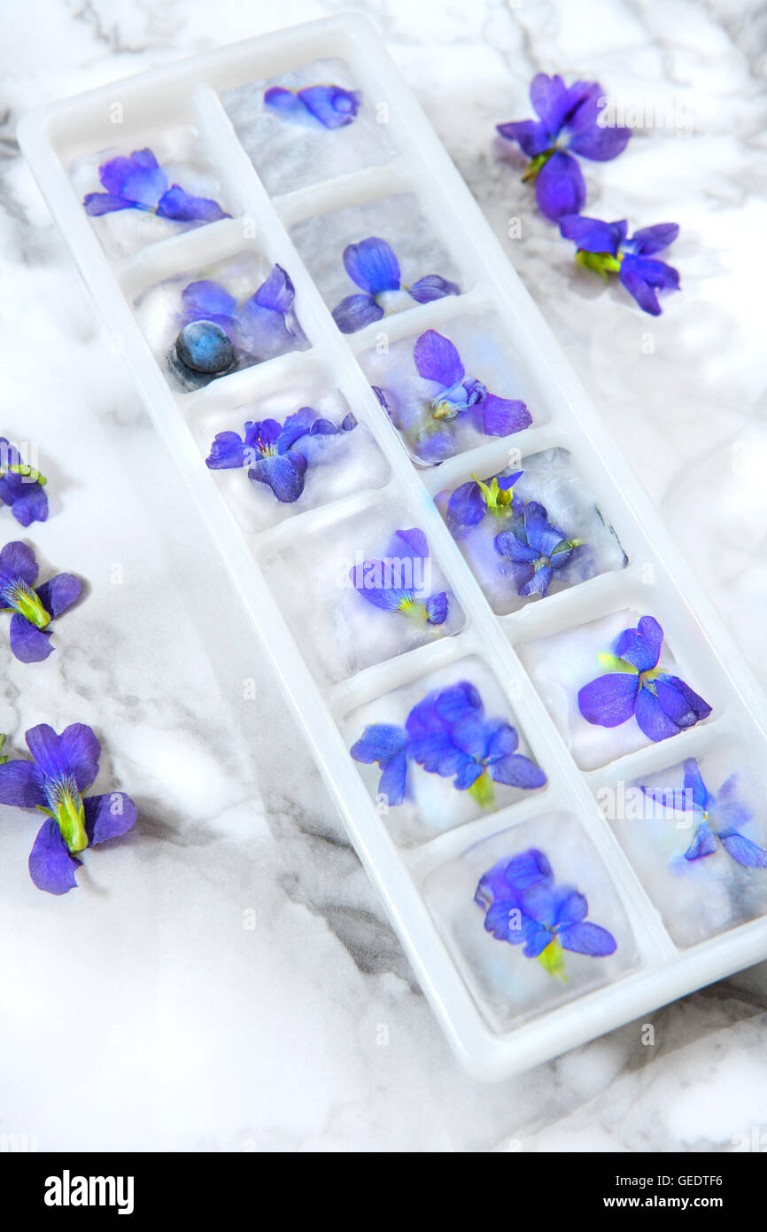 Ice Cubes with Edible Flowers Stock Photo